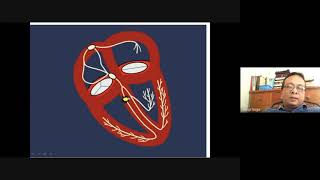 Bifascicular Block [upl. by Etka136]