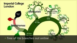 Tree of life branches out online [upl. by Donella]