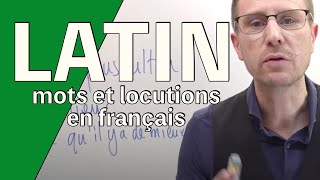 10 expressions latines très utilisées en français [upl. by Esinaej]