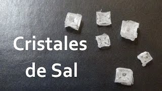 Como hacer cristales de azúcar │ Experimento Fácil [upl. by Yelena274]