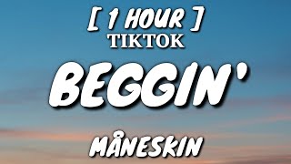 Måneskin  Beggin Lyrics 1 Hour Loop TikTok Song [upl. by Ettenor]