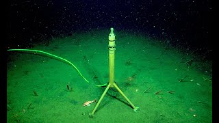 7 Eerie Sounds Recorded in the Deep Ocean [upl. by Volny]