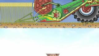 How a combine harvester works [upl. by Yeleek11]