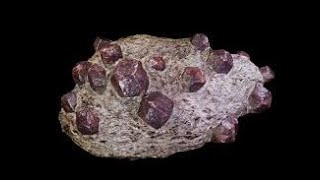 Geology 11 Metamorphic Rocks [upl. by Nelleoj737]