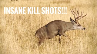 TOP 44 BEST HUNTING KILL SHOTS BOW AND RIFLE [upl. by Ermentrude]