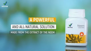 Vestige Neem Capsules  Product AV Hindi [upl. by Ettelrahc258]