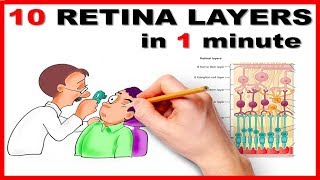 Retinal Layers in 1 minute  Mnemonic series  13 [upl. by Ellenhoj]