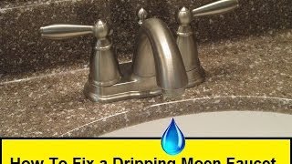 How To Fix a Dripping Moen Faucet HowToLoucom [upl. by Yerdua268]