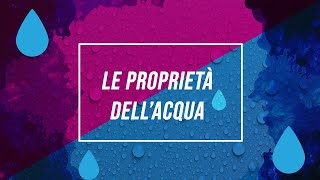 Proprietà dellacqua  Pillole di scienza [upl. by Gnehs]