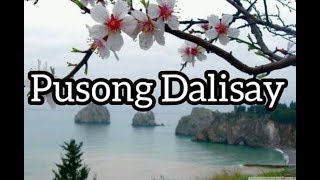 PUSONG DALISAY A PURE HEART TAGALOG VERSION LYRIC VIDEO [upl. by Hcelemile]