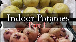 How To Grow Potatoes Indoors  Part 1 of 3 [upl. by Meagher746]