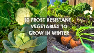 10 Frost Resistant Vegetables to Grow in Winter [upl. by Ahsied]