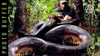 WORLDS BIGGEST SNAKE  GREEN ANACONDA [upl. by Fleck]