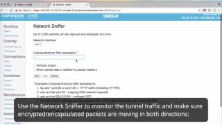 How do I use the Network Sniffer [upl. by Seni]