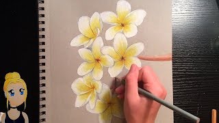 How to Draw Realistic Flowers With Colored Pencils [upl. by Ahsinotna]