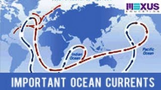 Important Ocean Currents [upl. by Mckee937]