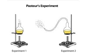 Pasteurs Experiment [upl. by Rosemare]