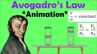 AVOGADROS LAW  Animation [upl. by Viking359]