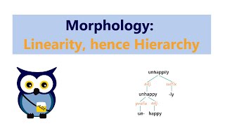 Morphology Linearity hence Hierarchy [upl. by Gershon]