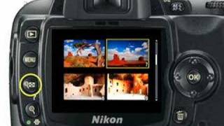 Nikon D60  Basic Playback Functions [upl. by Bain51]