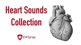 Heart Sounds Collection  EMTprepcom [upl. by Rochette]