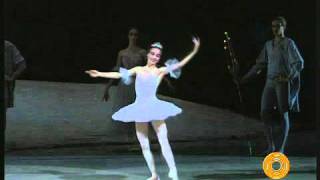 Bolshoi Ballet  The Nutcracker  Dance of the Sugar Plum Fairy  Ovation [upl. by Morrissey]