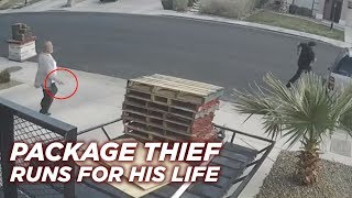 Package Thief VS Bounty Hunter with a Gun [upl. by Stroup]