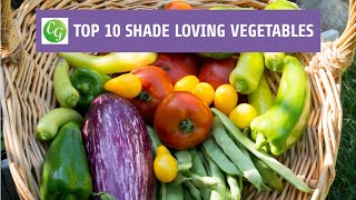 Top 10 Shade Loving Vegetables  The Best Veggies To Grow In Shade [upl. by Ileek80]