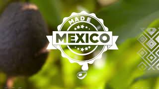 Avocados From Mexico Foodservice Collaboration [upl. by Witha838]