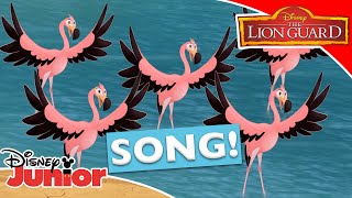 🎵 Go Go Flamingo  The Lion Guard  Disney Kids [upl. by Roxine]