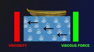 Understanding Viscosity and Viscous Force [upl. by Bergen217]