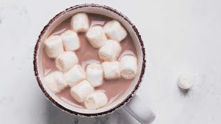 How to Make Hot Cocoa  Rich Chocolatey and Homemade [upl. by Akirdnahs]