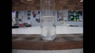 The Reaction of Calcium Metal and Water [upl. by Noiwtna]