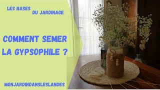 Comment semer la Gypsophile   Monjardindansleslandes [upl. by Annehs]