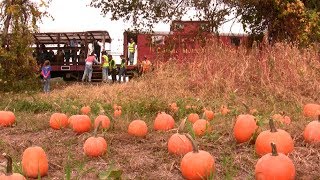 Catskill Mountain Railroad  Halloween Pumpkin Train Rides  CMRR [upl. by Ahsitram]