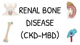 How to solve simple Mendelian genetics problems [upl. by Ahsiret]