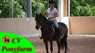 Reiten lernen mit der CV Ponyfarm Kreative Übungen für einen korrekten Reitersitz [upl. by Aizat]