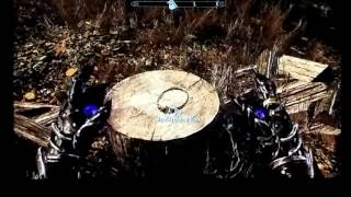 Skyrim  how to get ALL TEMPLE AMULETS easily [upl. by Assirim354]