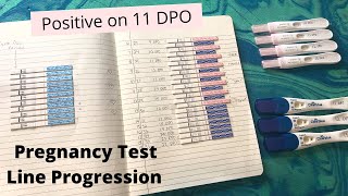 Pregnancy Test Line Progression  Positive on 11DPO [upl. by Putnem128]