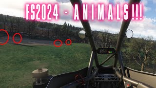 Finding ANIMALS in MSFS2024 [upl. by Sharline]