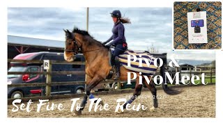 Pivo and Pivo Meet a review and guide [upl. by Yvon]