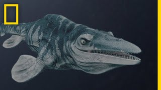 Mosasaurs 101  National Geographic [upl. by Monney]