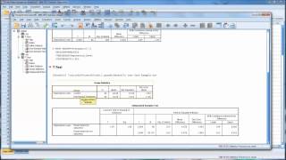 OneSample and IndependentSamples T Tests in SPSS [upl. by Ardel297]