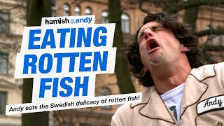 Eating Rotten Fish  Hamish amp Andy [upl. by Novaj]