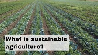 What is sustainable agriculture [upl. by Oznola442]