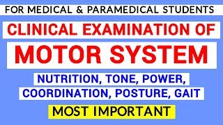 MOTOR SYSTEM EXAMINATION  CLINICAL LAB  PHYSIOLOGY PRACTICALS [upl. by Guyer]