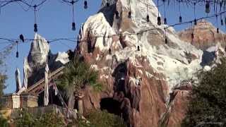 Disneys Animal Kingdom 2014 Tour and Overview  Walt Disney World HD [upl. by Nywrad]