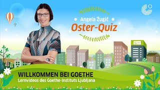 OsterQuiz [upl. by Aniral]