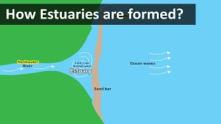 How Estuaries are formed  Coastal Estuary sandbar  Geography terms [upl. by Fogg88]