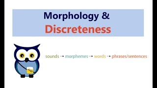 Morphology Discreteness [upl. by Orwin]